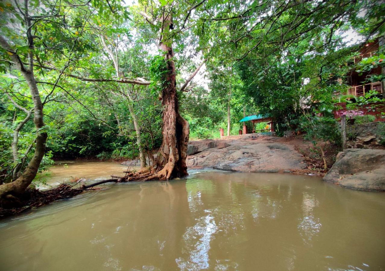 Sigiriya River Side Villa 외부 사진